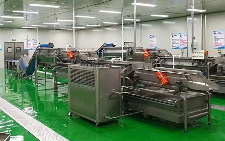 последний случай компании о Плоды Южной Кореи &amp; фабрика стирки овоща